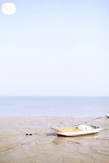 해피데이
