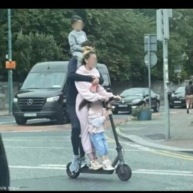 톰과란제리