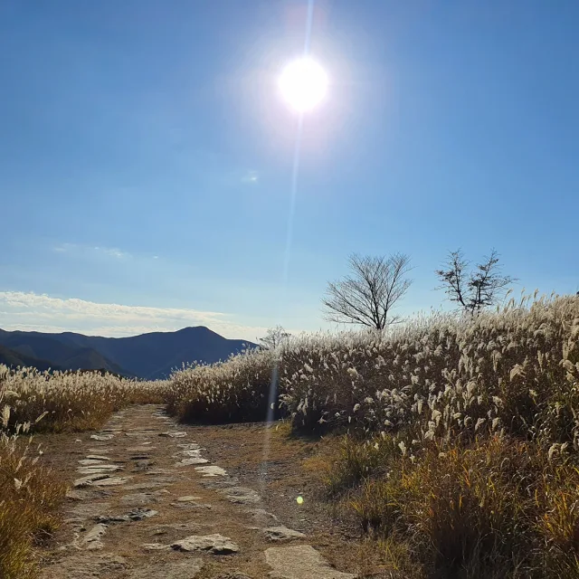 흥돌