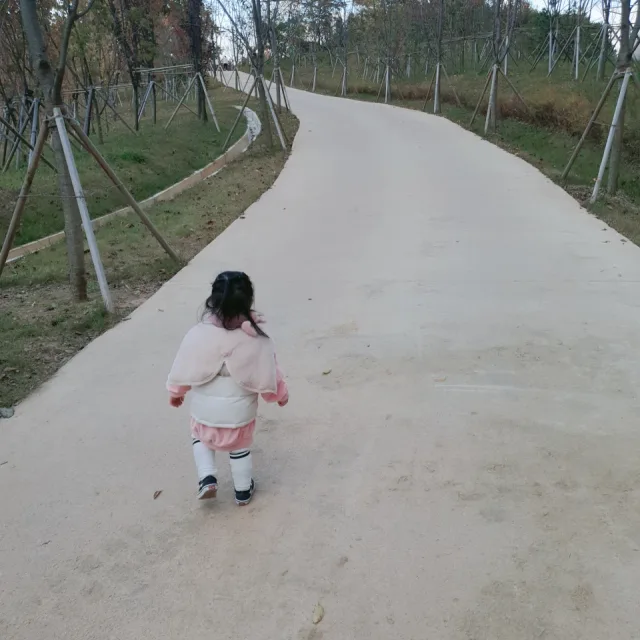 메이니
