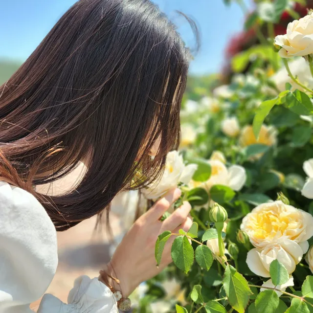 profile
