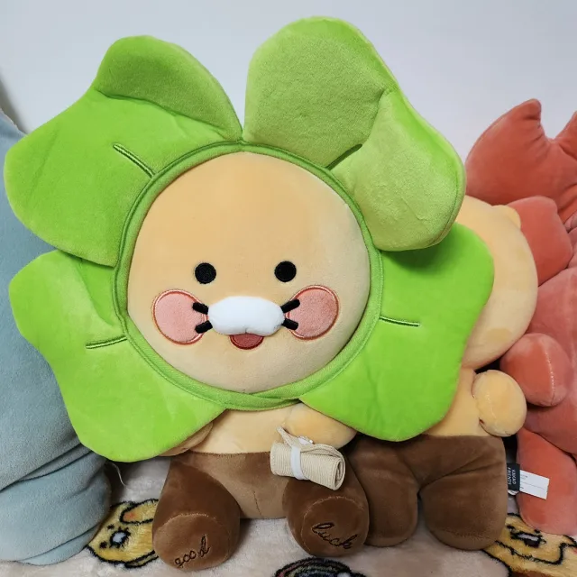 쭈앎