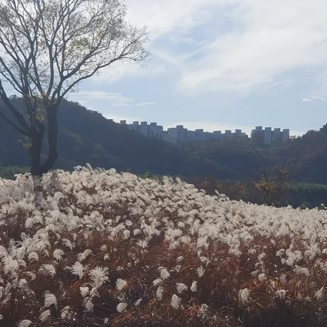 써니