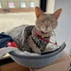 가을겨울봄여름