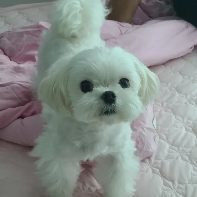 뀨규규규뀨했지