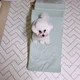 아리파파