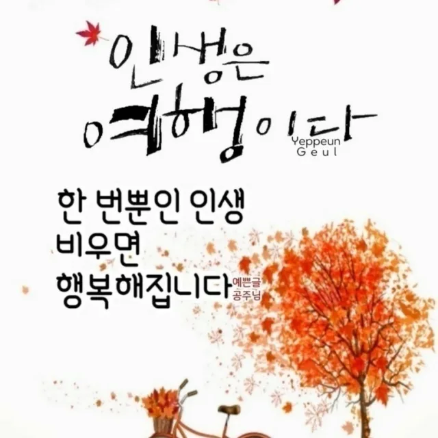 당근세상
