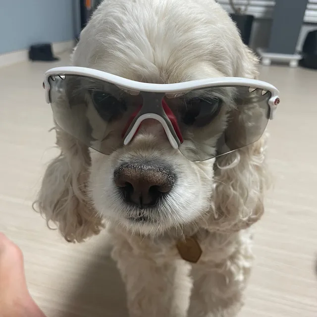 최강사
