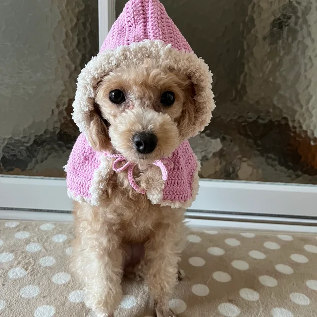 앙근앙근