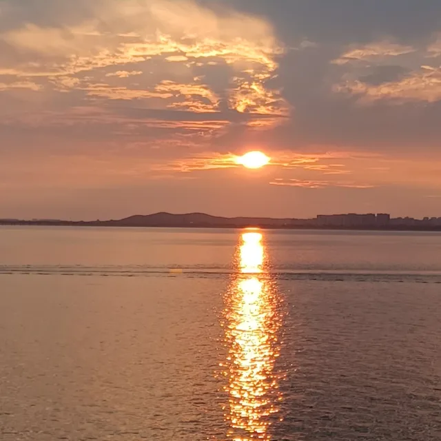 이상한나라폴