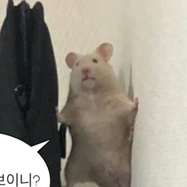 포장이재밌어서헐값에파는
