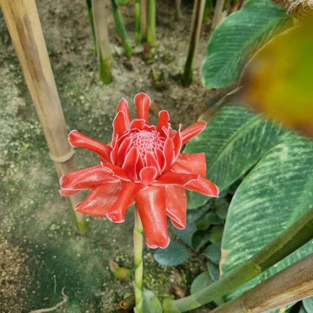 누누상점