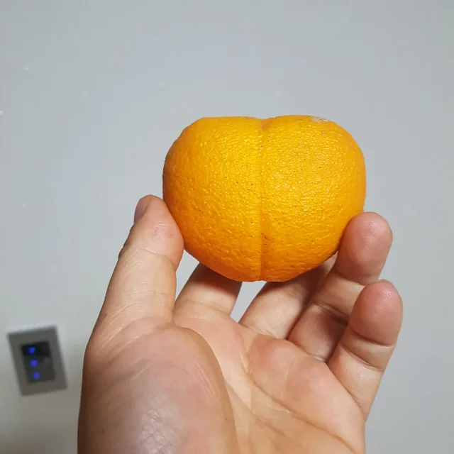 당근이지