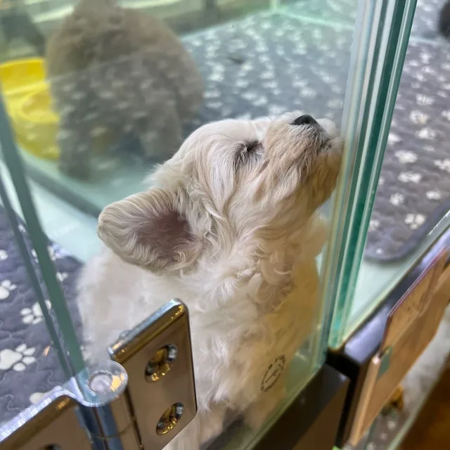 밥먹고당근