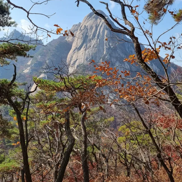 내인생은행복하게