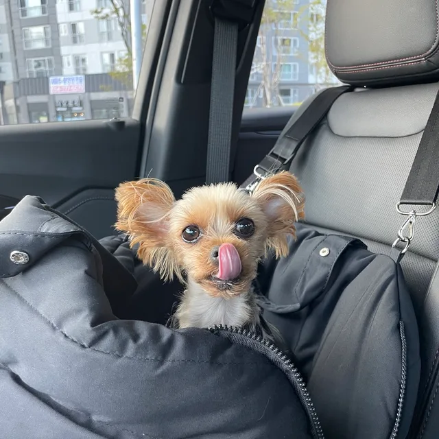 르밍밍