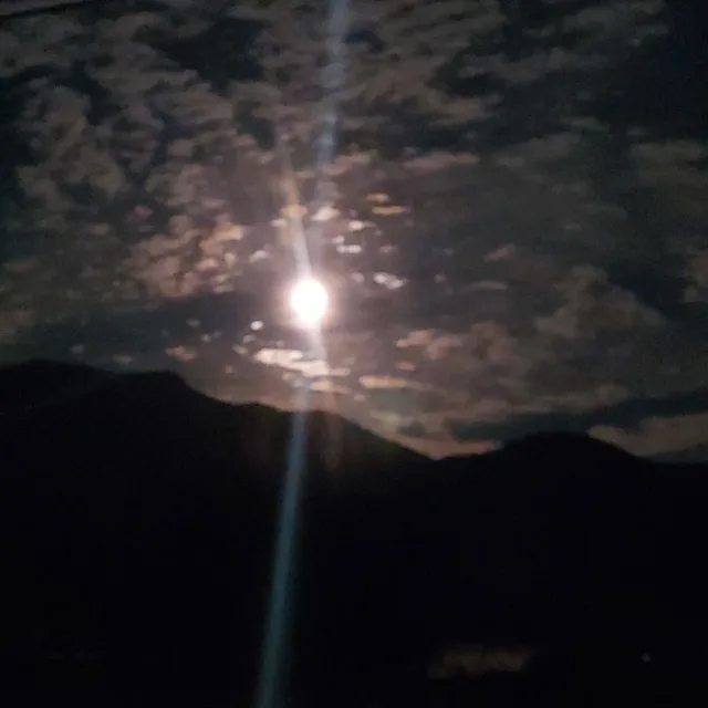 향기