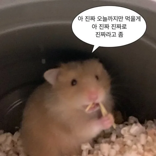 나는광야