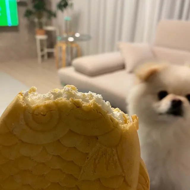붕어사냥꾼
