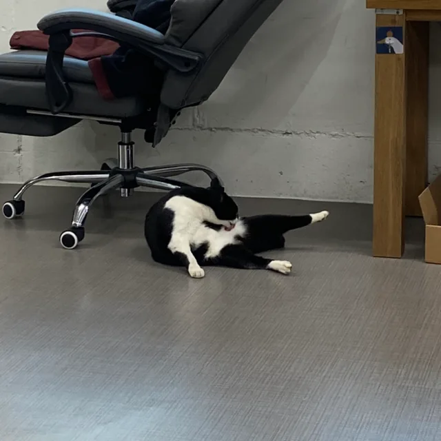 톰이다