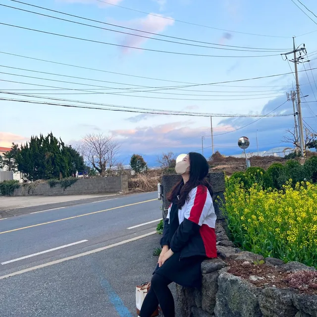 하하호호