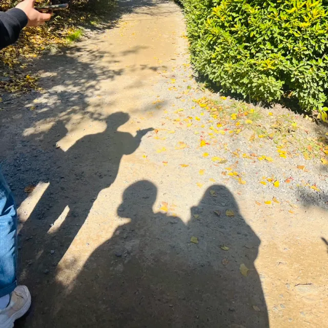 날아라병아리
