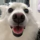 그냥