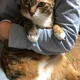 오후햇살