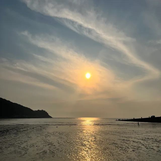 도라지맘