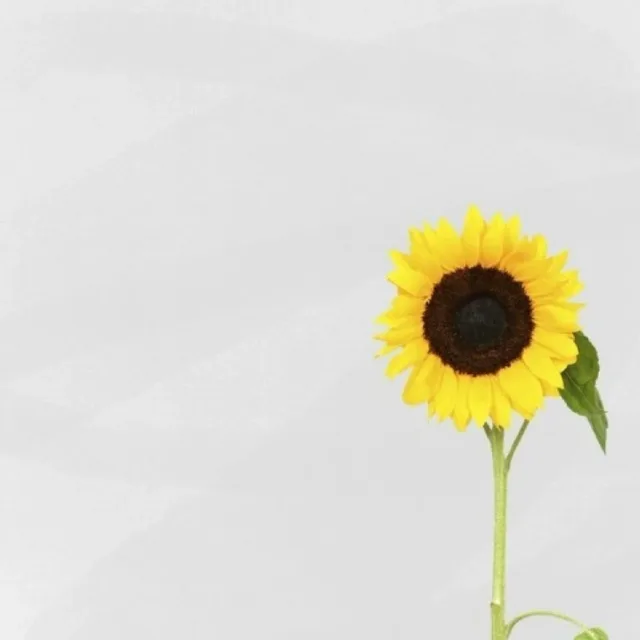 친절한성안동