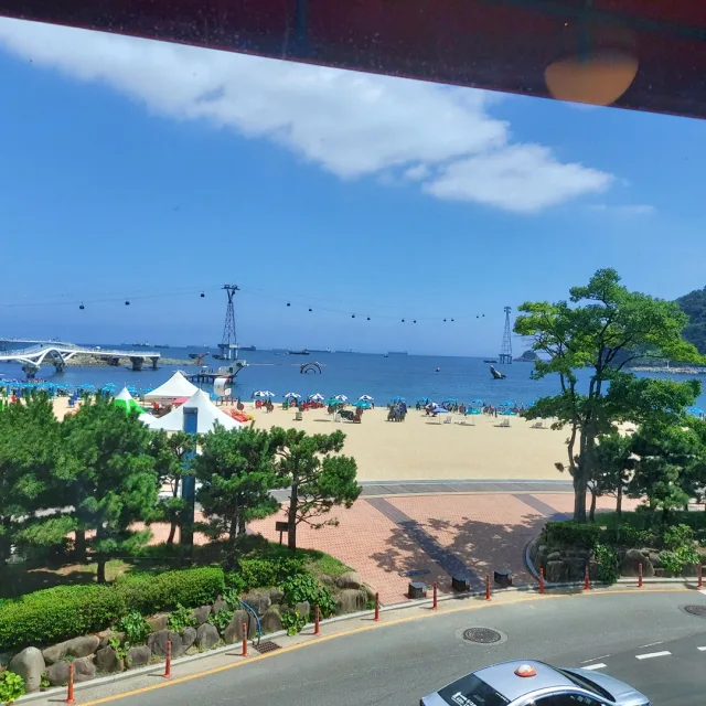 멋쟁이마도로스