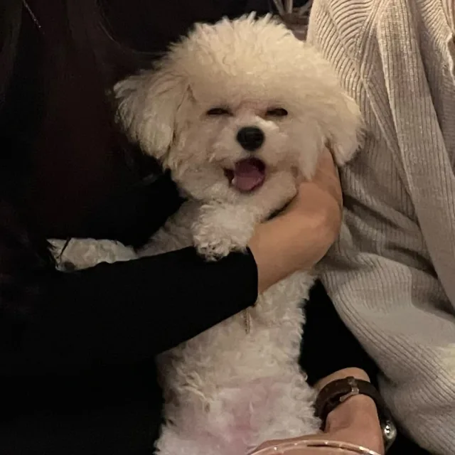 동동
