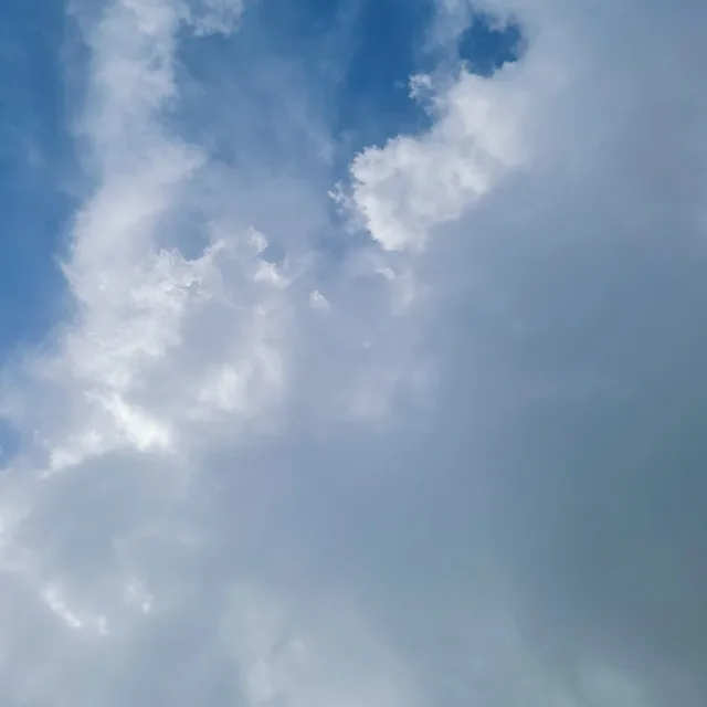 하늘바램