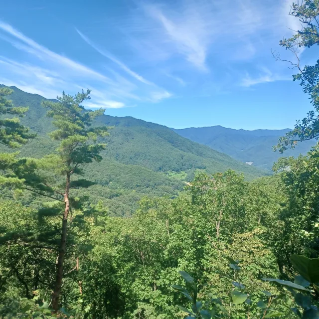 소백산여우