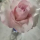 우쭈쭈