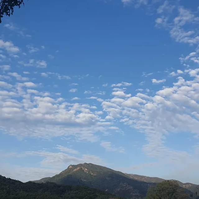 자립파파