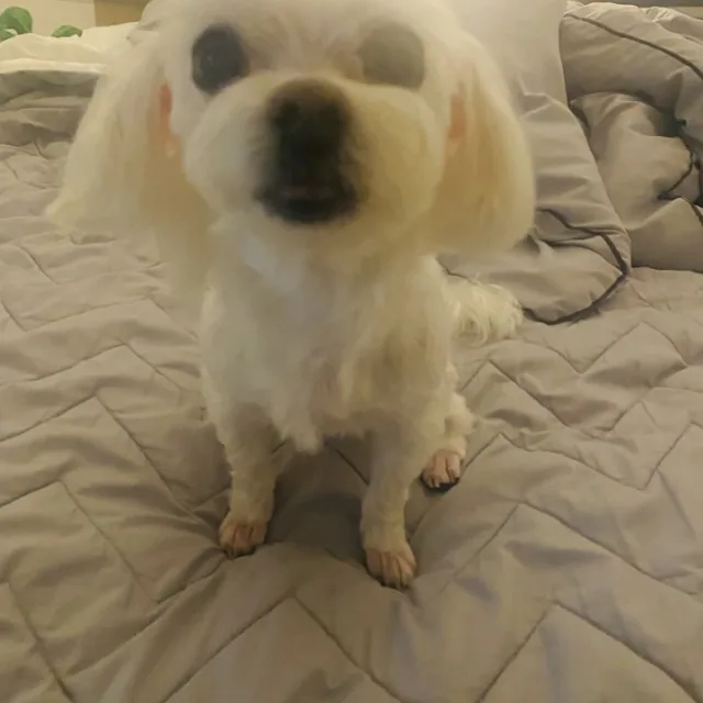 아라엄마