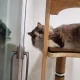 밍키초코츄츄