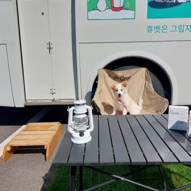 똥똥개여우