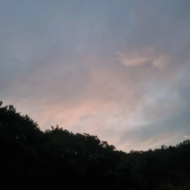 후맘2