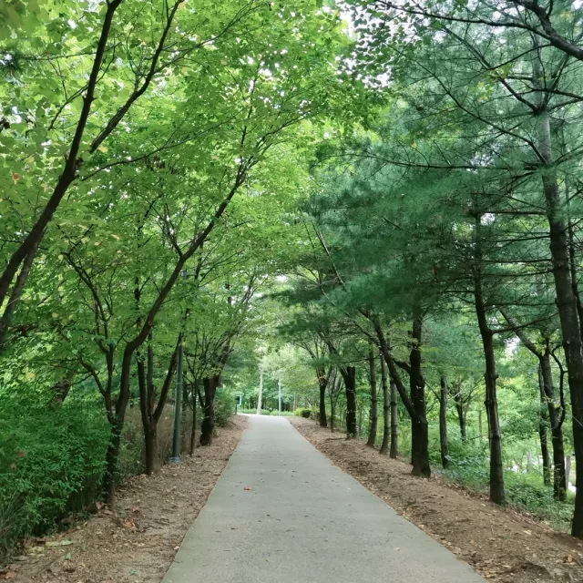 딸기우유