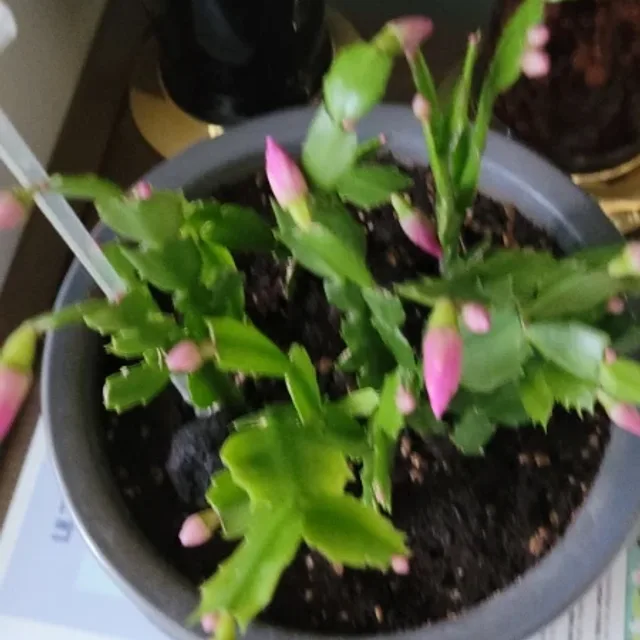 수기