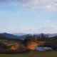 보보