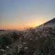트름짱
