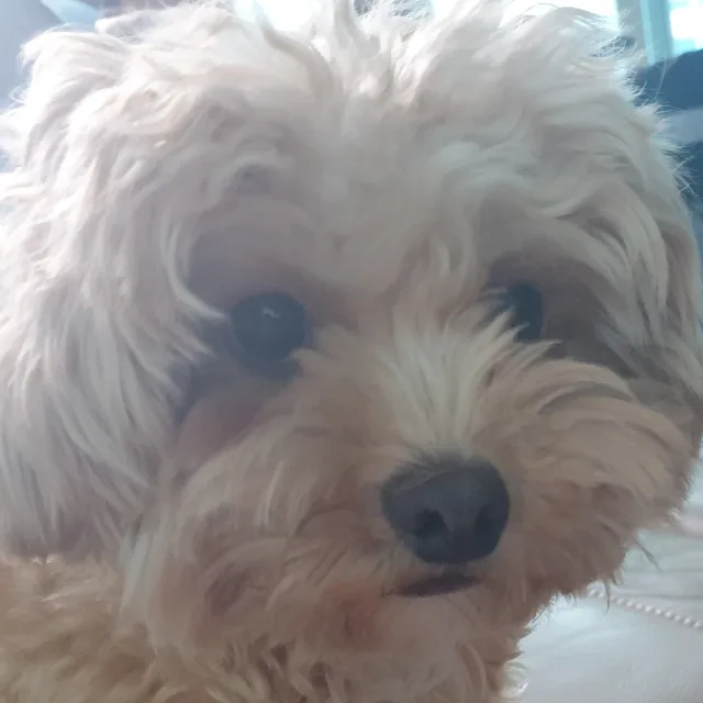 가벼운일상