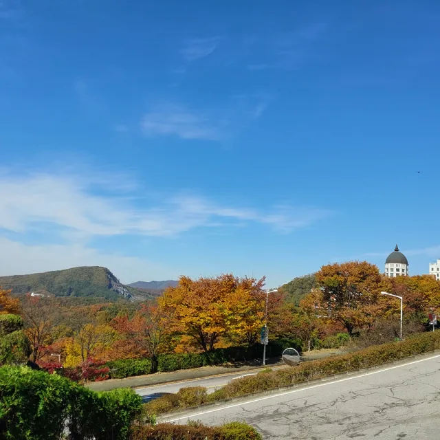 사강