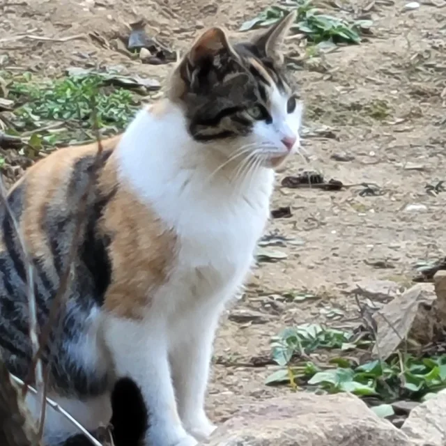 마음으로
