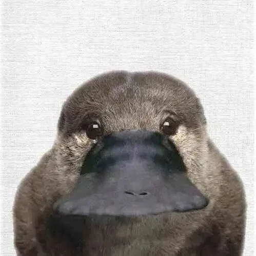 MNGJA