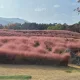 방울이네
