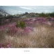 오페라